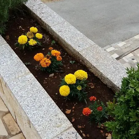 Apartment Leone Slatine